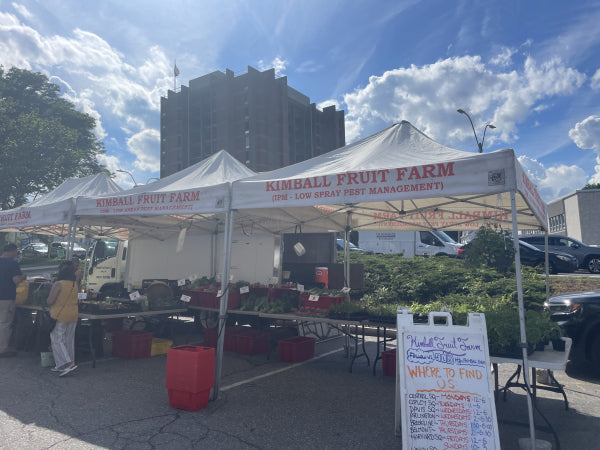 June 20th, 2024 | Your Arlington: Fish, flowers, ready-to-eat food and, of course, fresh produce found at weekly farmers' market