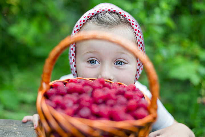 Summer, 2023 | Best Things Massachusetts: 10 Best Places to Pick Raspberries in Massachusetts!